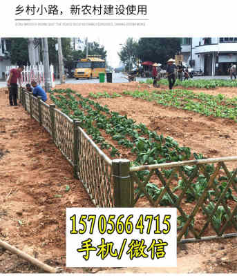 歡迎 梅列竹籬笆仿竹護欄臨沂市平邑柳條籬笆 實業集團