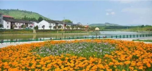 萍鄉這個地方又獲全省第一 為她點贊