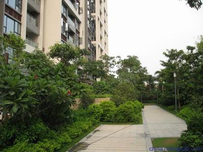 供應廣州綠化公司華美霖東莞圣旗時裝綠化工程圖片,供應廣州綠化公司華美霖東莞圣旗時裝綠化工程圖片大全,廣東華美霖園林實業(yè)-