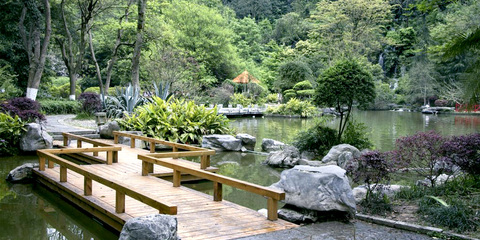 重慶峰宇園林建設|重慶園林規劃設計|重慶園林施工|重慶城市園林綠化|重慶花卉苗木|重慶園藝產品|重慶花木租售