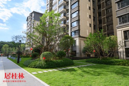 特殊時期,桂林這家房開的表現(xiàn)沒讓人失望