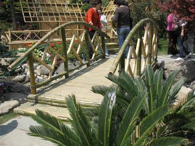 綠化工程_綠化工程供貨商_供應綠化工程領先企業-上海綠化工程首選哪家公司_綠化工程價格_上海康馨園林(晨蘇實業)