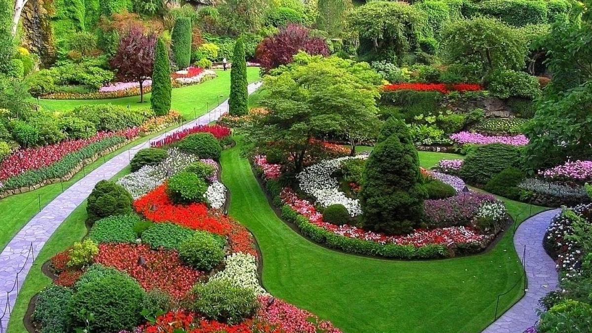 園林綠化與病蟲害防治的問題和對策——以廣東田野風實業為例