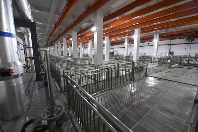 綠茵之下，匠心筑夢(mèng) 一座公園的園林實(shí)業(yè)密碼