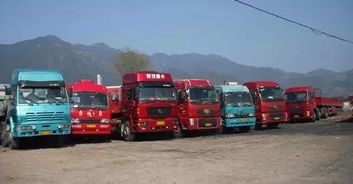 取消掛靠 取消貨車營運證和從業(yè)資格證,減輕貨車司機負擔